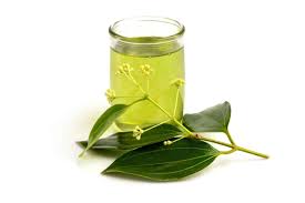 Premium Ceylon Cinnamon Leaf Essential Oil